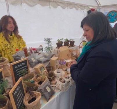 Feria cultural y productiva releva el rol de mujeres indígenas en Coyhaique