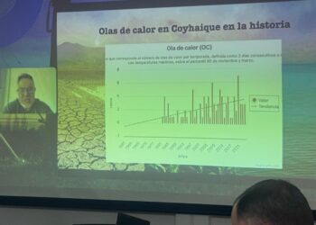 Edelaysen refuerza coordinación regional ante impacto del cambio climático  en redes eléctricas