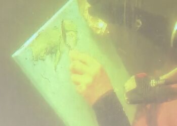 Lienzos en aguas gélidas: Aysén se erige como pionero de la pintura subacuática en Chile