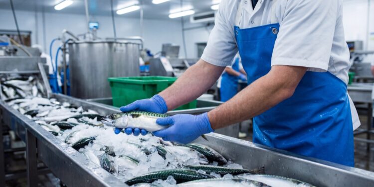 Entra en vigencia norma que regula las emisiones de olor del sector pesquero