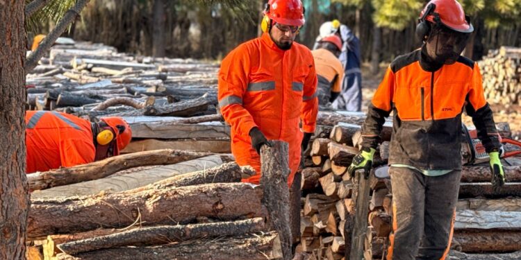 Chile Chico inicia entrega de más de 500 metros de leña para familias priorizadas