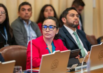 Andrea Macías pide incorporar a personas postradas y familias de personas autistas al proyecto de rebaja de IVA en medicamentos y pañales.