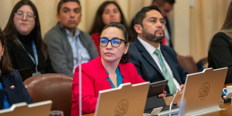 Andrea Macías pide incorporar a personas postradas y familias de personas autistas al proyecto de rebaja de IVA en medicamentos y pañales.