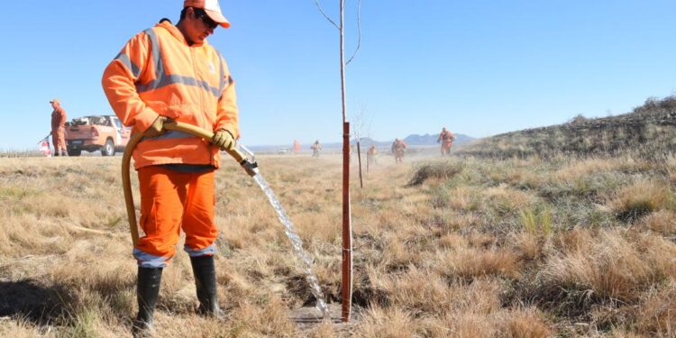 Aysén lidera el empleo en Chile, pero la informalidad en los sectores tradicionales frena el desarrollo regional