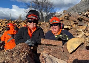 Comenzó entrega de leña para familias de Coyhaique a través de programa financiado por el Gobierno Regional