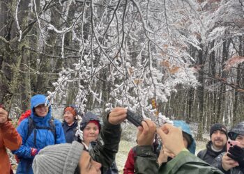Vecinos de Cerro Castillo e Ibáñez participaron en actividades para conocer la diversidad de hongos de la Patagonia