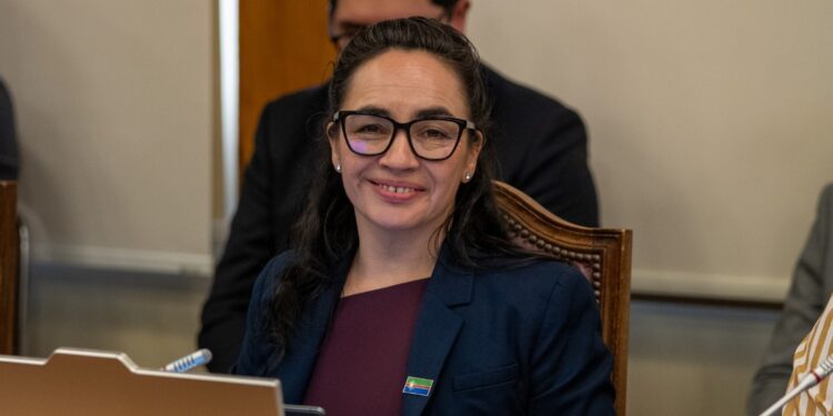 Andrea Macías pide corregir proyecto de pañales y medicamentos para adaptarlo a la realidad de las familias