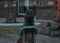 Carabineros de Cochrane incorpora binomio canino para reforzar labores de seguridad