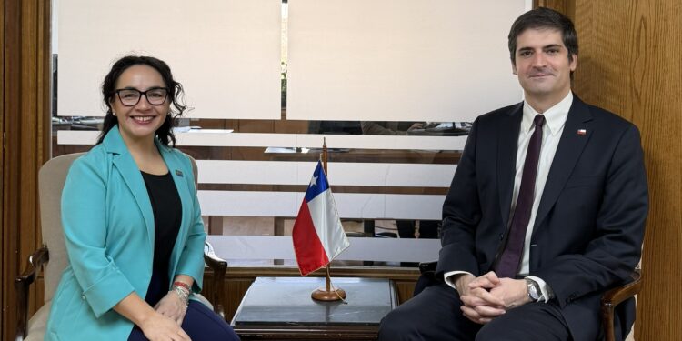 Diputada Andrea Macías expone al Subsecretario de Educación las urgencias de infraestructura escolar de Aysén