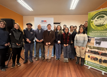 Cooperativa Patagonia Verde fortalece su modelo de negocio con apoyo de Sercotec