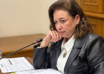 Senadora Ordenes por condiciones laborales en la salmonicultura: “No podemos pasar por alto la falta de prevención y fiscalización en este sector”