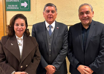 Tragedia en los fiordos australes: senadores exigen mesa birregional ante alarma por muertes en la industria salmonera