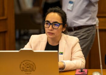 Diputada Andrea Macías anticipa su voto: «Esta no es una ley para Chile ni para Aysén, es la ley de los súper ricos»
