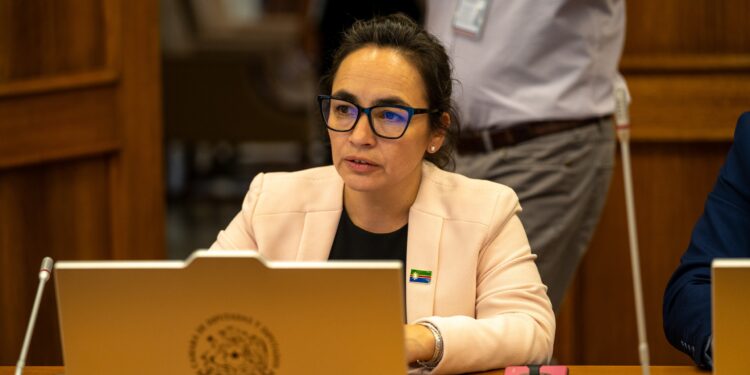 Diputada Andrea Macías anticipa su voto: «Esta no es una ley para Chile ni para Aysén, es la ley de los súper ricos»