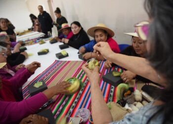 Artesanas textiles de Aysén y el norte de Chile tejen redes de identidad cultural en Tarapacá