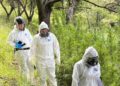 Alerta sanitaria por Hantavirus: Aysén refuerza la vigilancia ante un riesgo que no descansa entre los matorrales