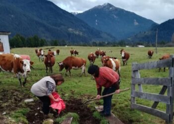 INDAP aclara que apoyo a mujeres rurales continuará tras término de convenio con Fundación PRODEMU