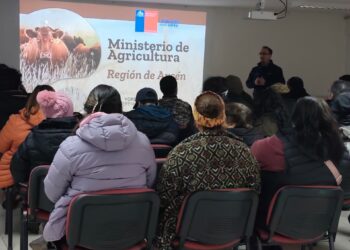 Productores de Cochrane conocen iniciativas del Plan Aysén Campo Vivo para el sector agropecuario