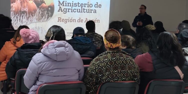 Productores de Cochrane conocen iniciativas del Plan Aysén Campo Vivo para el sector agropecuario