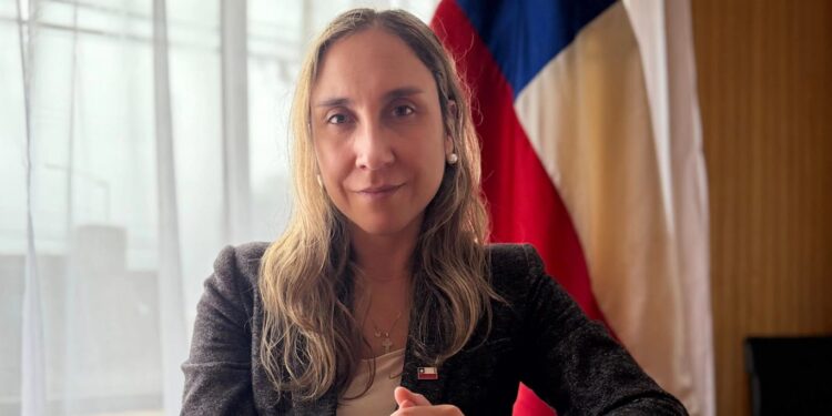 Balance de cuatro meses: la agenda legislativa del Ejecutivo busca aliviar el bolsillo y fortalecer el turismo en Aysén