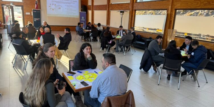 Taller analiza futuras necesidades laborales de la pesca y acuicultura en Aysén