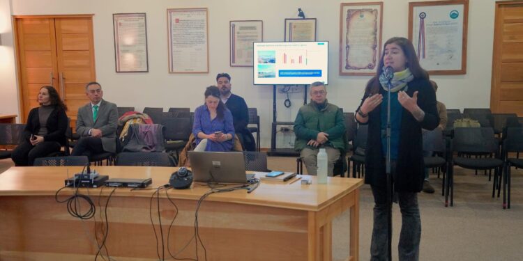 Estudio detecta episodios críticos de contaminación del aire en varias localidades de Aysén