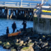 Hallan a hombre fallecido en cercanías del Muelle Emporcha de Melinka