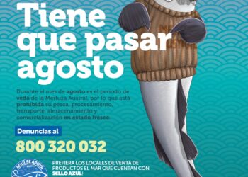 Pausa para la reproducción marina: Inicia veda de la merluza austral para resguardar el recurso en las costas de Aysén