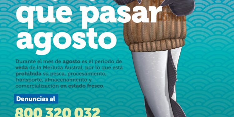 Pausa para la reproducción marina: Inicia veda de la merluza austral para resguardar el recurso en las costas de Aysén