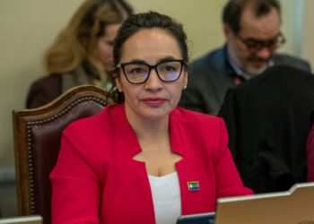 Diputada Macías alerta por recursos para salud y pide al Gobierno anticiparse a eventuales dificultades en Aysén