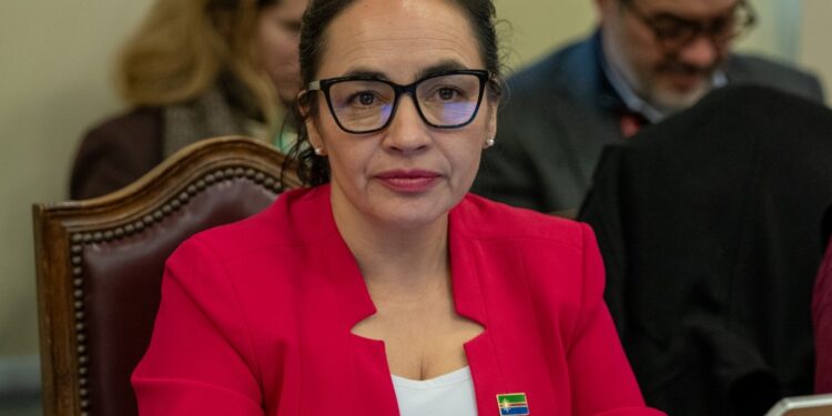 Diputada Macías alerta por recursos para salud y pide al Gobierno anticiparse a eventuales dificultades en Aysén