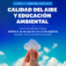 Aprender para descontaminar: Abren 75 cupos regionales para curso gratuito sobre calidad del aire en Aysén
