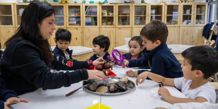 Docentes de Aysén llevan proyectos científicos al aula mediante programa Explora