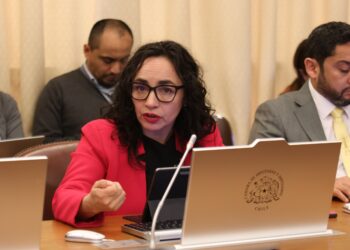 Diputada Macías exige respuesta especial del Ministerio de Salud: Falta de equipamiento pone en riesgo la vida de pacientes con hantavirus en Aysén.