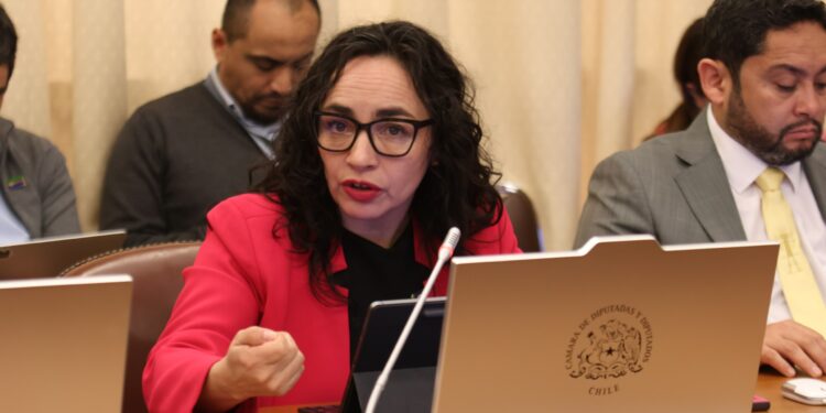 Diputada Macías exige respuesta especial del Ministerio de Salud: Falta de equipamiento pone en riesgo la vida de pacientes con hantavirus en Aysén.