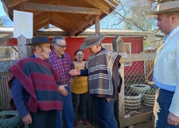 El Club de Rodeo de Villa Mañihuales entrega 210 sacos de leña a familias vulnerables para enfrentar el invierno
