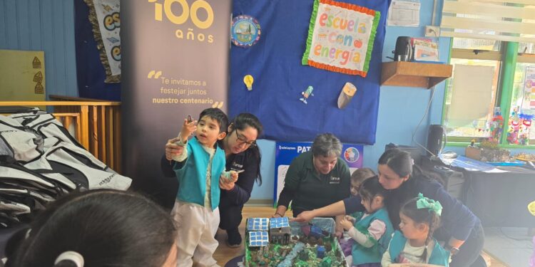 Niños de Islas Huichas participaron en jornada sobre uso responsable de la energía
