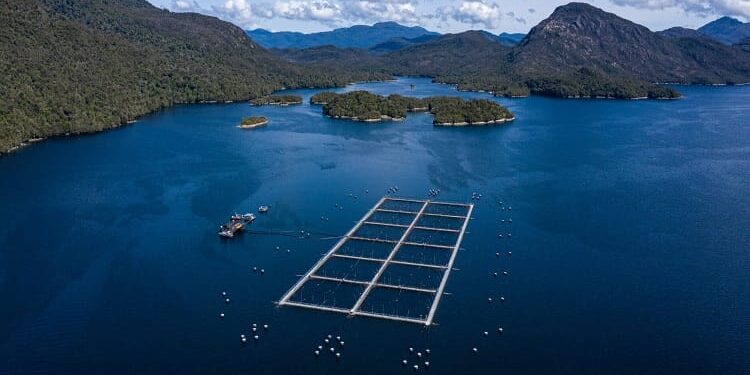 Multi X y el Centro de Negocios Sercotec Puerto Aysén lanzan segunda versión de Red Pyme Aysén