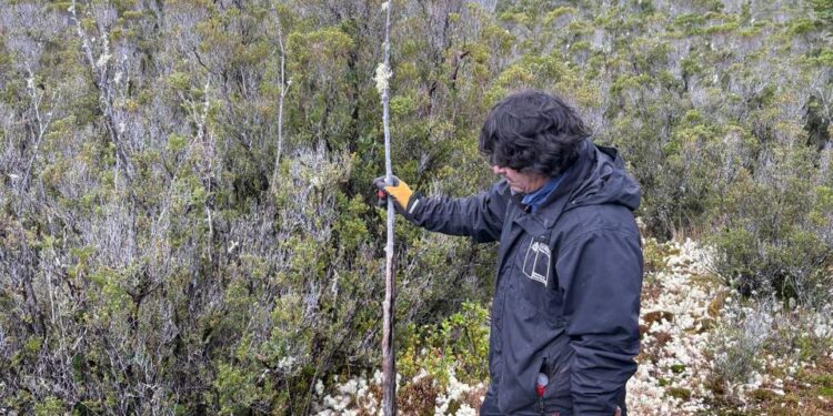 Despliegue territorial en Guaitecas: Bienes Nacionales mensura terrenos fiscales para proyectos comunitarios en Melinka y Repollal