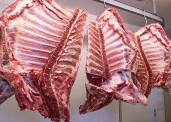 Empresa denuncia presunta estafa por más de $246 millones vinculada a venta de carne en Coyhaique
