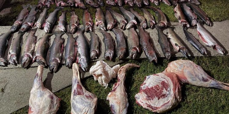 Carabineros detuvo a tres personas por presunto abigeato e infracción a la Ley de Pesca en Cochrane
