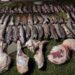 Carabineros detuvo a tres personas por presunto abigeato e infracción a la Ley de Pesca en Cochrane