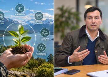 Corfo abre 254 becas para diplomado online en bioeconomía