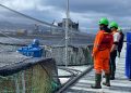 Alerta sanitaria en los fiordos de Aysén: Sernapesca cerca un brote de virus ISA en centro de Salmones Camanchaca