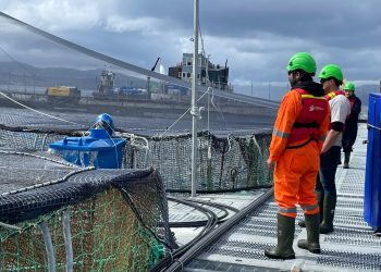Alerta sanitaria en los fiordos de Aysén: Sernapesca cerca un brote de virus ISA en centro de Salmones Camanchaca