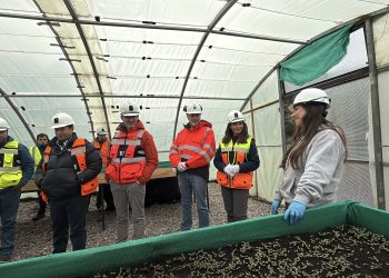 El plan para reactivar la mina Cerro Bayo abre esperanzas de empleo y arraigo en Chile Chico