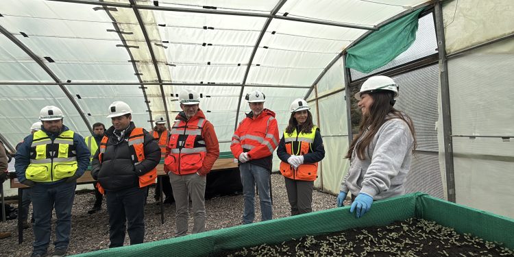 El plan para reactivar la mina Cerro Bayo abre esperanzas de empleo y arraigo en Chile Chico