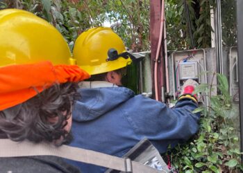 Edelaysen realiza inspección de medidores en locales comerciales del centro de Coyhaique
