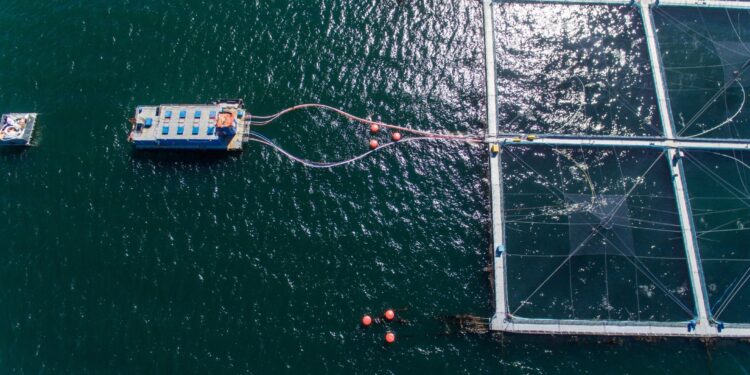 Sernapesca activa verificación por virus ISA en centro de cultivo de la comuna de Cisnes