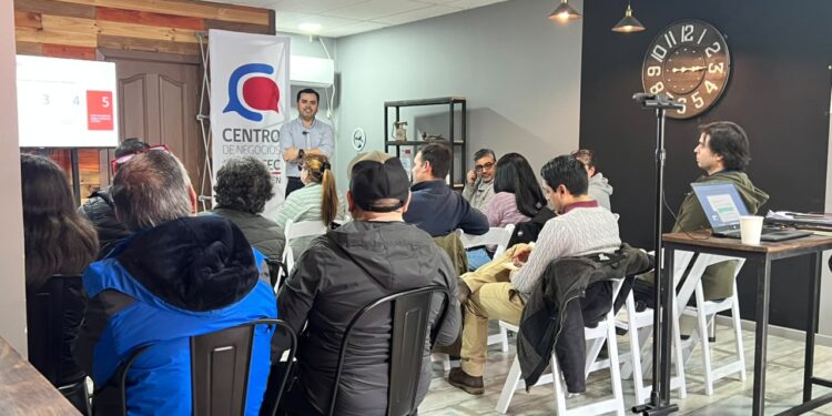 Red Pyme Aysén inicia nueva etapa con mentorías personalizadas para proveedores locales